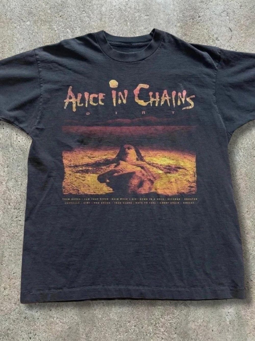 Gildan Black Alice In Chains Short Sleeve Graphic Tee